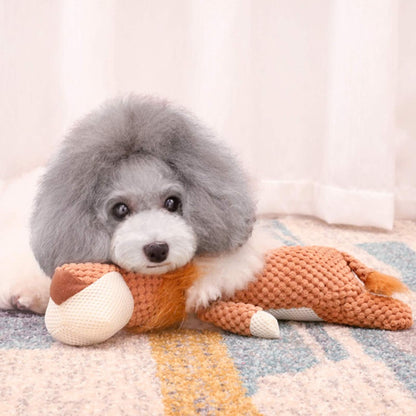 PetChewies™: diseñado para mascotas masticadoras