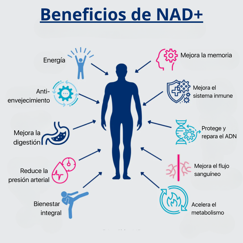 Suplemento NAD+ - Ribósido de Nicotinamida Liposomal