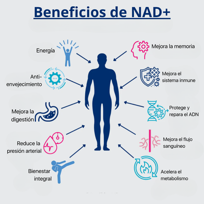 Suplemento NAD+ - Ribósido de Nicotinamida Liposomal